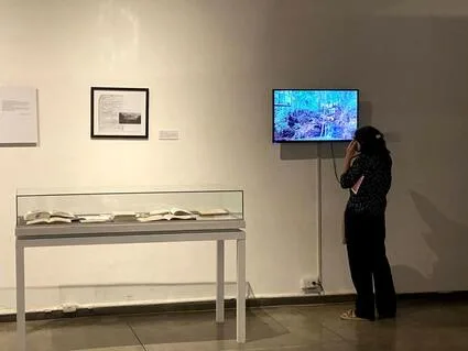 Picture